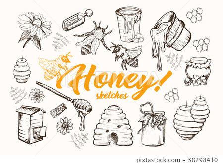 Honey Sketches Set, Bee Hive, Honey Jar, Barrel Honey Sketches Set, Bee Hive, Honey Jar, Barrel 38298410