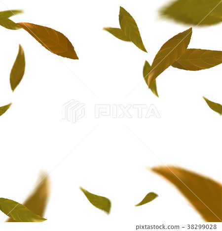 Bright orange autumn leaves falling down Bright orange autumn leaves falling down 38299028