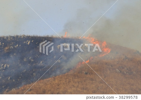 山燃燒 山燃燒 38299578