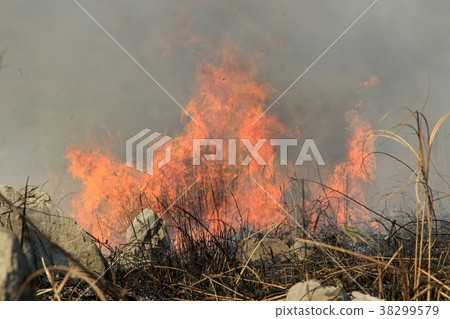 山燃燒 38299579