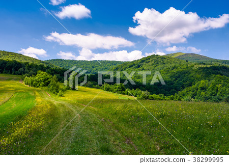 grassy rural fields on mountain slopes 38299995