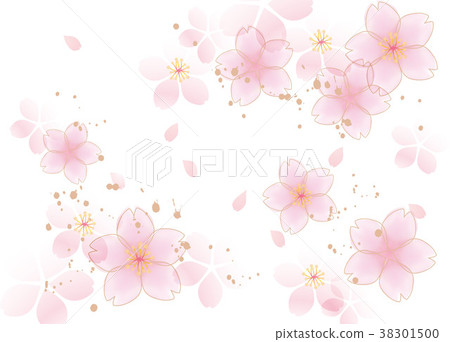 Blooming fluffy cherry white Blooming fluffy cherry white 38301500