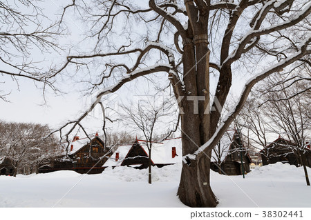 Sapporo Agricultural College 2nd Farm 38302441