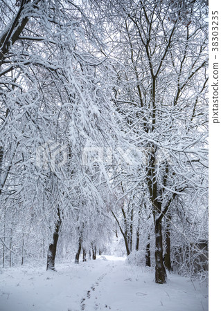 Winter white tunnel Winter white tunnel 38303235