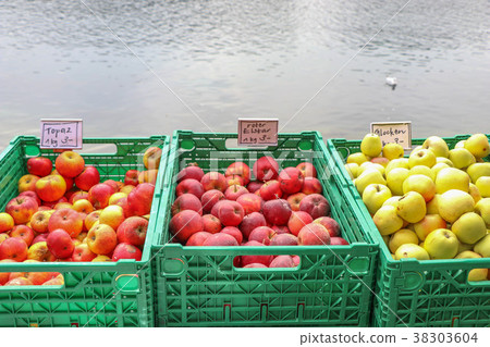 Three tone of fresh Apples in green plastic basket Three tone of fresh Apples in green plastic basket 38303604