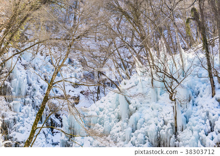 [埼玉縣] Onouchi Valley 38303712