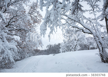 landscape with a snowfall landscape with a snowfall 38303748