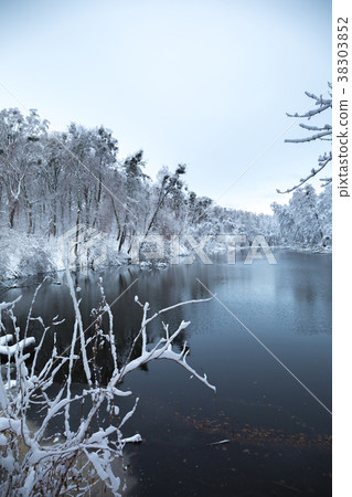 Beautiful Water Winter Landscape 38303852