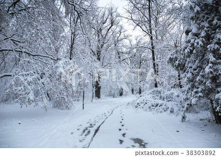 Slush on road 38303892