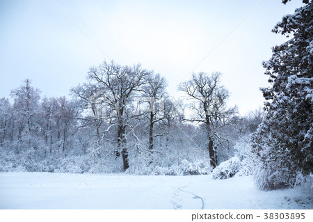 Winter with a snowfall 38303895