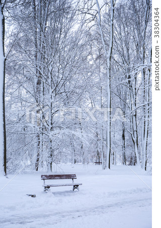 A A bench on the roadon the road A A bench on the roadon the road 38304364