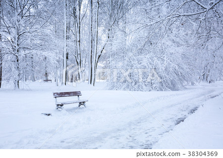 Bench under the snow near the road Bench under the snow near the road 38304369