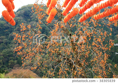 Kaki no Sato Kaki no Sato 38305839