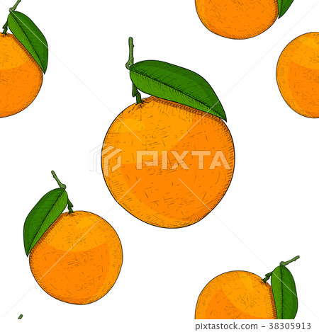 Oranges as seamless pattern. Hand drawn colored 38305913