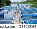 cages for fish farm, aquaculture in thailand 38306565
