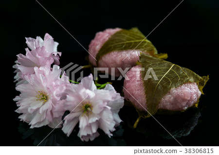 Domyoji Sakura Hagi和Yae Sakura Domyoji Sakura Hagi和Yae Sakura 38306815