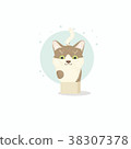 Small cute funny kitten standing in a small box 38307378