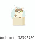 Small cute funny kitten sitting in a small box 38307380