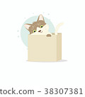 Small cute funny kitten sitting in a small box 38307381