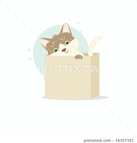 Small cute funny kitten sitting in a small box 38307381