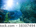fish in sea Aquarium tank with light from the top 38307494