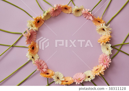 Round frame of gerbera flowers on a pink Round frame of gerbera flowers on a pink 38311128