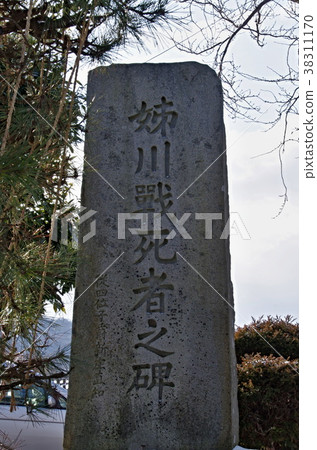 Anegawa Battlefield 38311170
