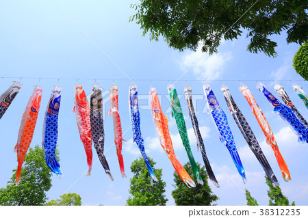 Carp streamer Carp streamer 38312235