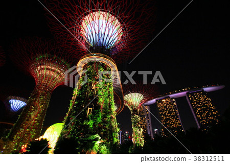 Supertree Grove 38312511