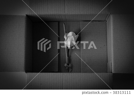 paper rose in cardboard box. wood flower to pay respect to Thai dead people. sandalwood in funeral cremation. sorrow, grief concept. dark black & white tone 38313111