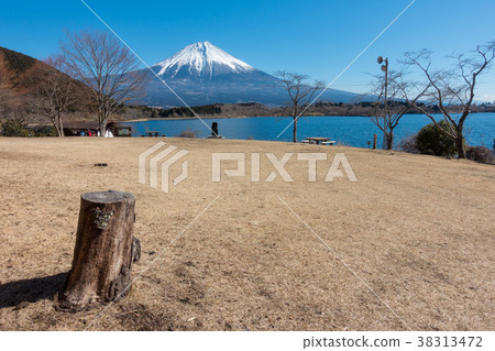 富士山Tanuki冬天 38313472