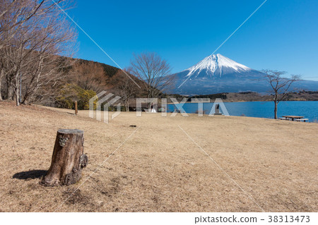 富士山Tanuki冬天 富士山Tanuki冬天 38313473