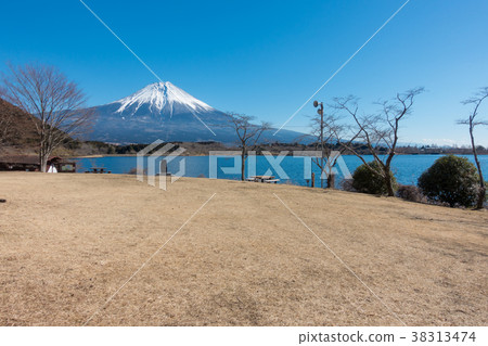 富士山Tanuki冬天 38313474