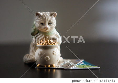 Wise savings cat 38314213