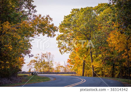 Fall season 38314342