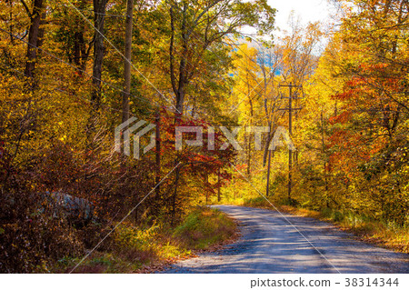 Fall season 38314344