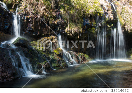 [靜岡縣]神馬瀑布冬天 38314652