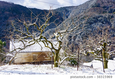 Snowy mountain village scenery Shigo, Katsuragi-cho, Ito-gun, Wakayama Snowy mountain village scenery Shigo, Katsuragi-cho, Ito-gun, Wakayama 38315969