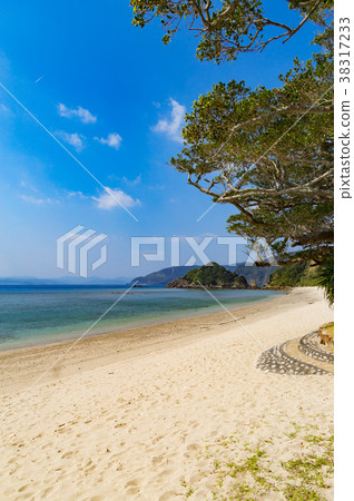 馬多里海灘 38317233