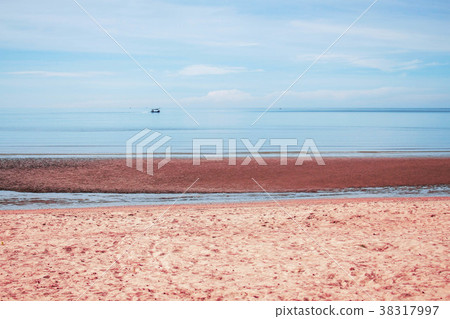 Beaches at the sea. Beaches at the sea. 38317997