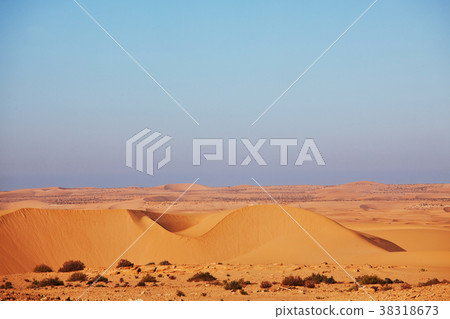 Sand desert Sand desert 38318673