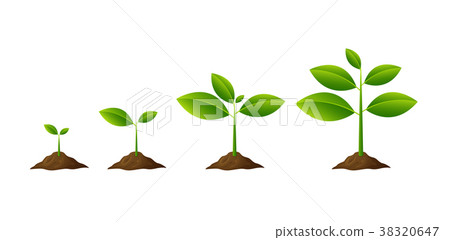 Plants growing in the ground isolated on white bac 38320647
