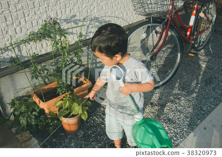 watering plants, gardening, younger 38320973