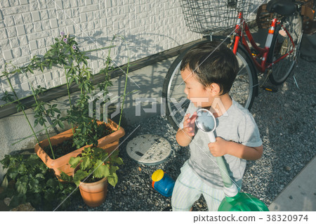 watering plants, gardening, younger 38320974