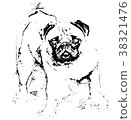 A beautiful pug standing -  Illustration 38321476