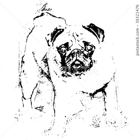A beautiful pug standing - Illustration A beautiful pug standing - Illustration 38321476