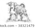 Appenzeller puppy - Sketch style 38321479