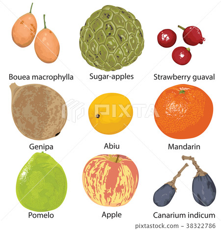 set of fruits on white background 38322786