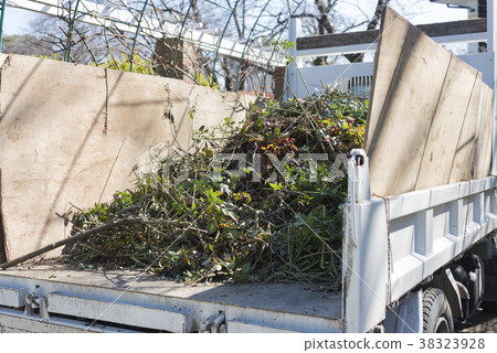Pruning waste disposal twig branches and truck Pruning waste disposal twig branches and truck 38323928