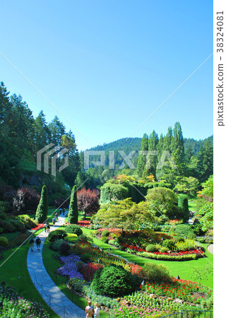 屠宰花園 38324081